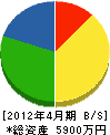 大島建設 貸借対照表 2012年4月期