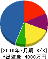 丸山電化サービス 貸借対照表 2010年7月期