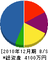 藤川水道 貸借対照表 2010年12月期