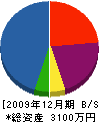 若柳電気工事 貸借対照表 2009年12月期