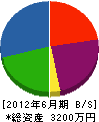斉藤建設 貸借対照表 2012年6月期