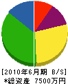竹山建設 貸借対照表 2010年6月期