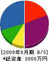 ワタセイ商会 貸借対照表 2009年8月期