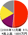 石川電工 損益計算書 2008年12月期