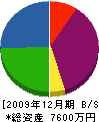 朝日海洋開発 貸借対照表 2009年12月期