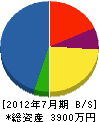 渡辺電機サービス 貸借対照表 2012年7月期
