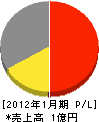 丸カ片山商店 損益計算書 2012年1月期