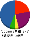 遠藤塗工 貸借対照表 2009年6月期