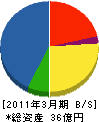菱彩テクニカ 貸借対照表 2011年3月期