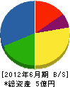 日本道路システム 貸借対照表 2012年6月期