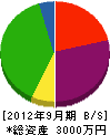 松岡工業 貸借対照表 2012年9月期
