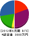 徳サン工業 貸借対照表 2012年6月期