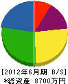 中日本コンサルタント 貸借対照表 2012年6月期