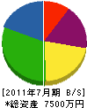 亀井建設 貸借対照表 2011年7月期