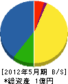 笹野電気 貸借対照表 2012年5月期