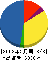 大江建設 貸借対照表 2009年5月期
