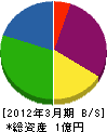 九州丸防設備 貸借対照表 2012年3月期