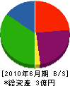 富士川商事 貸借対照表 2010年6月期