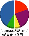 川村建設工業 貸借対照表 2009年6月期