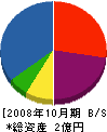 松徳産業 貸借対照表 2008年10月期