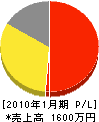 石川庭園 損益計算書 2010年1月期