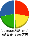 鈴木建材社 貸借対照表 2010年9月期