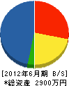 昌電社 貸借対照表 2012年6月期