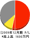 高田共立電気 損益計算書 2009年12月期