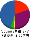 ダグラス・エンヂニアリング 貸借対照表 2008年3月期