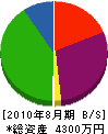 高田開発 貸借対照表 2010年8月期