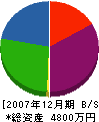 北日本計測 貸借対照表 2007年12月期
