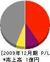 藤村組 損益計算書 2009年12月期