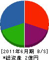 小松 貸借対照表 2011年6月期