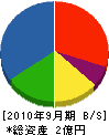 山嘉土建 貸借対照表 2010年9月期