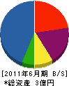 長野建設 貸借対照表 2011年6月期