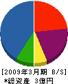 プランニング三誠 貸借対照表 2009年3月期