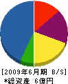 野崎組 貸借対照表 2009年6月期