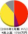 日本サービスセンター 損益計算書 2009年3月期