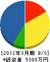 岩松産業 貸借対照表 2012年3月期