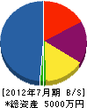 戸島造園 貸借対照表 2012年7月期