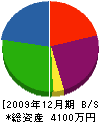 藤田電工 貸借対照表 2009年12月期