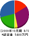 共立開発 貸借対照表 2008年10月期