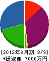 中井造園 貸借対照表 2012年6月期