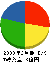 ジャパン・トータルサービス 貸借対照表 2009年2月期