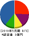眞鍋建設 貸借対照表 2010年5月期