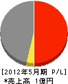 稲田建設 損益計算書 2012年5月期