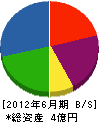大竹山工業所 貸借対照表 2012年6月期