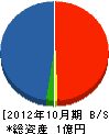 ミネギシ 貸借対照表 2012年10月期