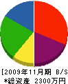 長谷川造園 貸借対照表 2009年11月期
