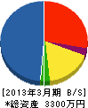 東亜開発 貸借対照表 2013年3月期